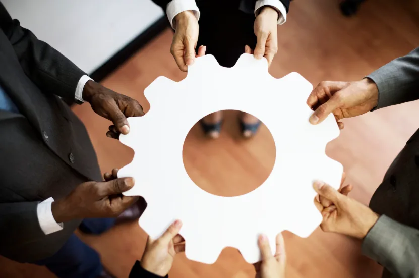 Capacity Building and Effective Organizational Development