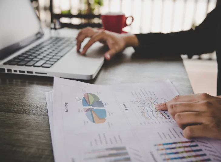 Financial Statement Review and Internal Controls